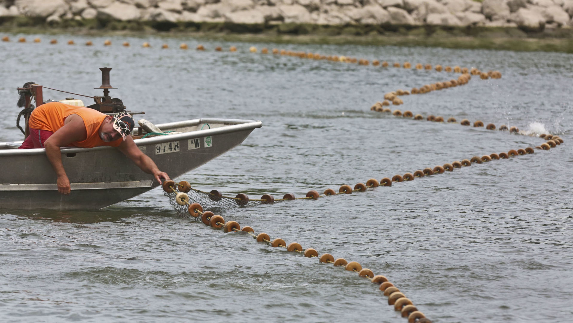 Asian_Carp 4 7.15.19.JPG